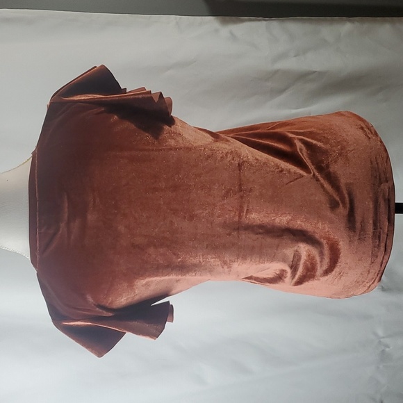🍎2 Items/$12 Joyfolie Bridget flutter sleeve velvet top in Mahogany size Medium - Picture 5 of 10